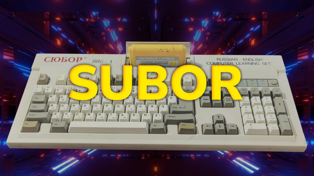 The view on the SUBOR computer